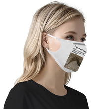 Load image into Gallery viewer, test mask  Mac
